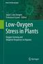 Low-Oxygen Stress in Plants