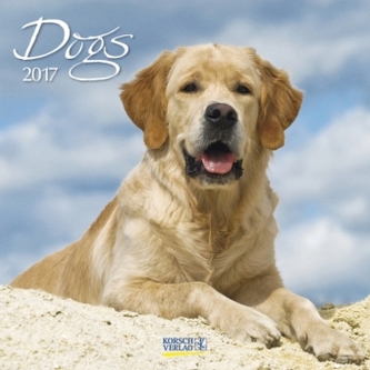 Dogs 2017