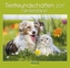 Tierfreundschaften - Familientimer 2017