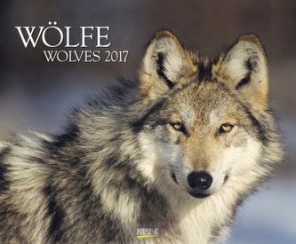 Wölfe 2017