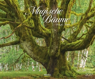 Magische Bäume 2017