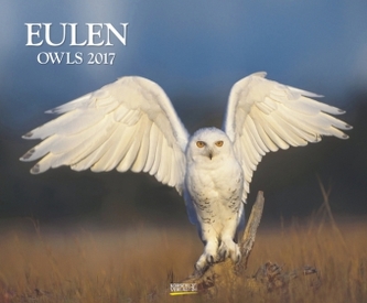 Eulen 2017