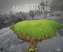Art of Nature 2017