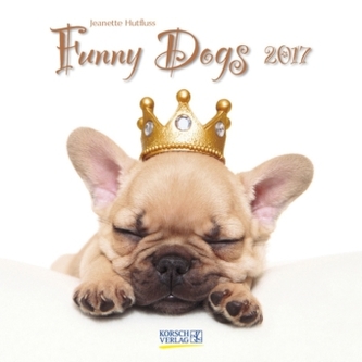 Funny Dogs 2017