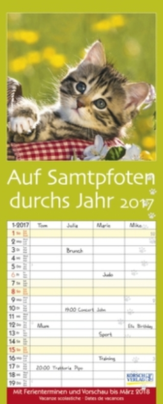 Auf Samtpfoten durch's Jahr 2017