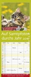 Auf Samtpfoten durch's Jahr 2017