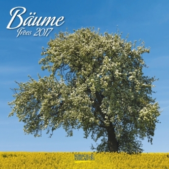 Bäume 2017