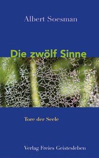 Die zwölf Sinne