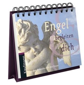 Engel begleiten dich