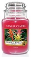 Yankee Candle 623g Tropická džungle