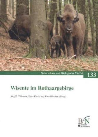 Wisente im Rothaargebirge
