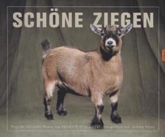 Schöne Ziegen
