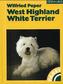 West Highland White Terrier