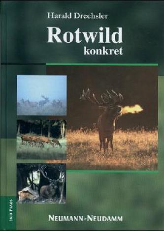Rotwild konkret
