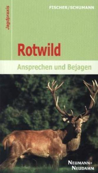 Rotwild