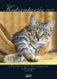 Katzenpoesie 2017