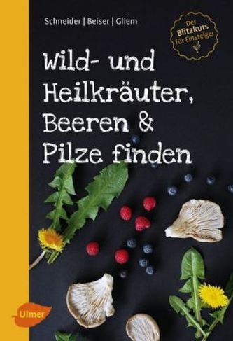 Wild- und Heilkräuter, Beeren und Pilze finden