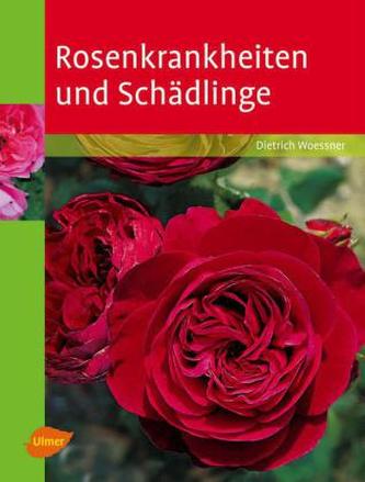 Rosenkrankheiten und Schädlinge