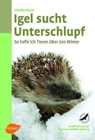 Igel sucht Unterschlupf