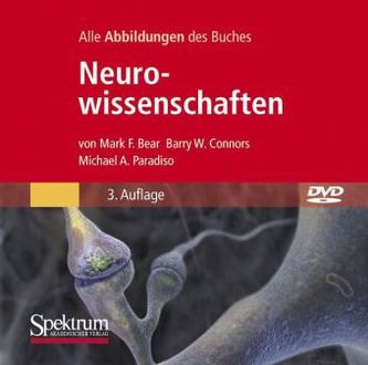 Neurowissenschaften, 1 DVD-ROM