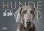 Hunde 2017 - Wandkalender