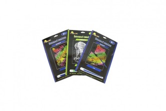 Škrabací obrázek stříbrný/duhový asst 8 druhů 19x24cm