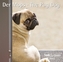 Der Mops / The Pug Dog 2017