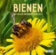 Bienen 2017