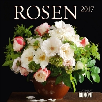 Rosen 2017