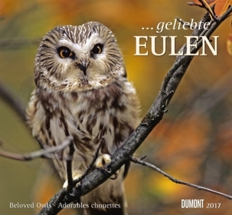 ... geliebte Eulen 2017