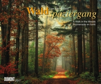 Waldspaziergang 2017