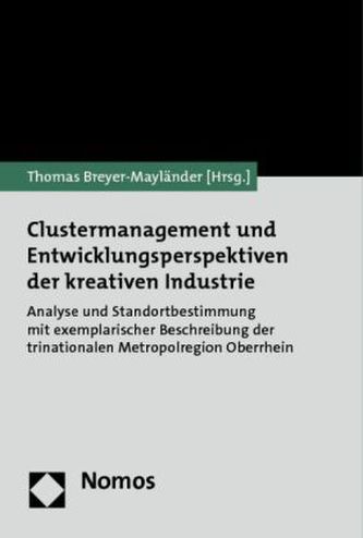Clustermanagement und Entwicklungsperspektiven der kreativen Industrie