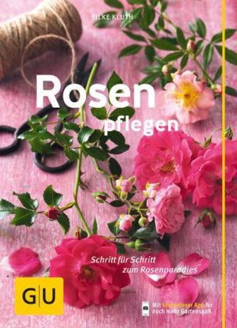 Rosen pflegen Rosen pflegen