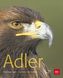 Adler