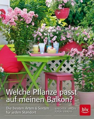 Welche Pflanze passt auf meinen Balkon?