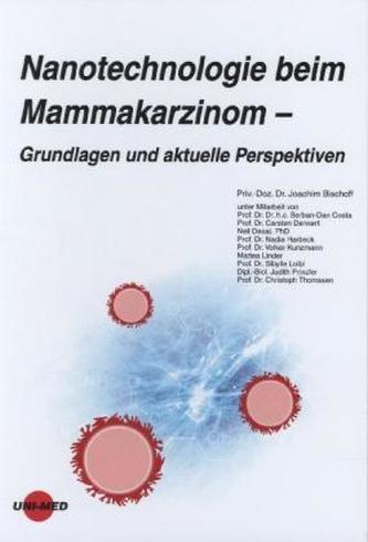 Nanotechnologie beim Mammakarzinom