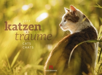 Katzenträume 2017