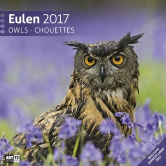 Eulen, Broschürenkalender 2017