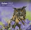 Eulen, Broschürenkalender 2017