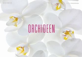 Orchideen