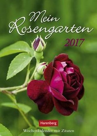 Mein Rosengarten 2017