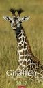 Giraffen 2017