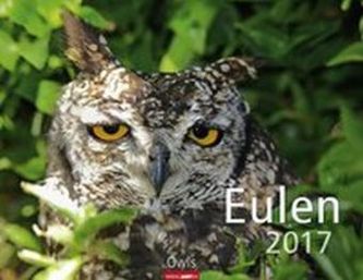 Eulen 2017