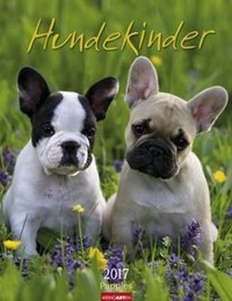 Hundekinder 2017