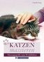Katzen massieren