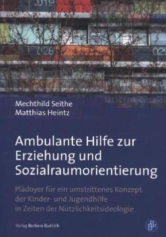 Ambulante Hilfe zur Erziehung und Sozialraumorientierung