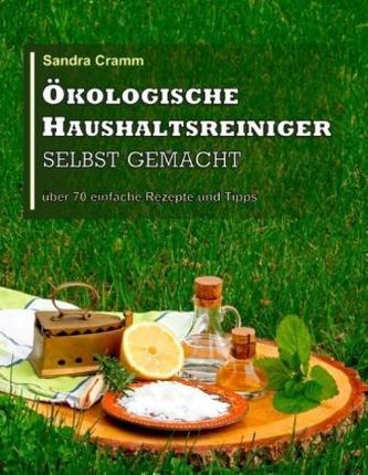 Ökologische Haushaltsreiniger selbst gemacht