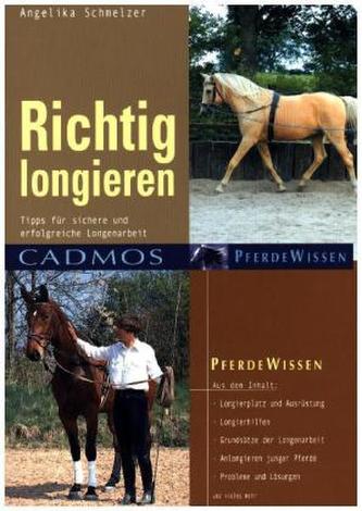 Richtig longieren