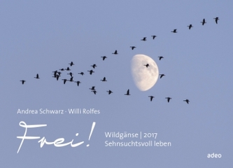 Frei! Wildgänse 2017 - Wandkalender