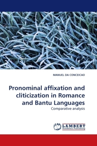 Pronominal affixation and cliticization in Romance and Bantu Languages